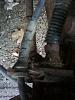 Damaged tie rod end.-3.jpg