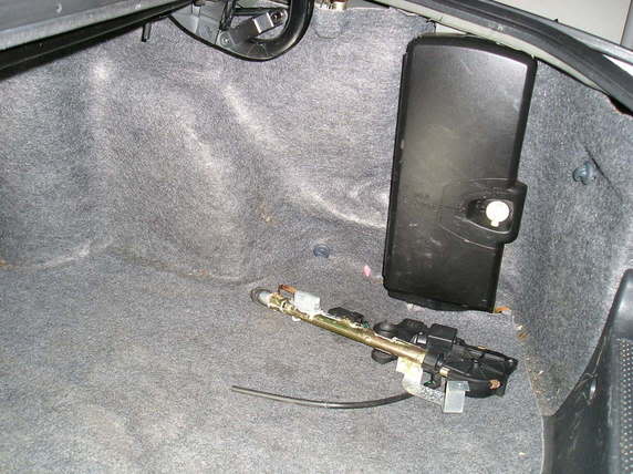 Name:  Trunkbeforeantenna.jpg
Views: 96
Size:  43.3 KB