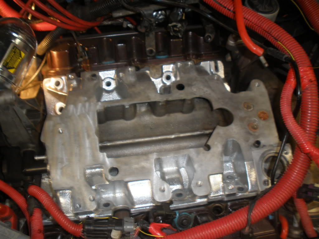 Name:  P4090016.jpg
Views: 294
Size:  108.5 KB