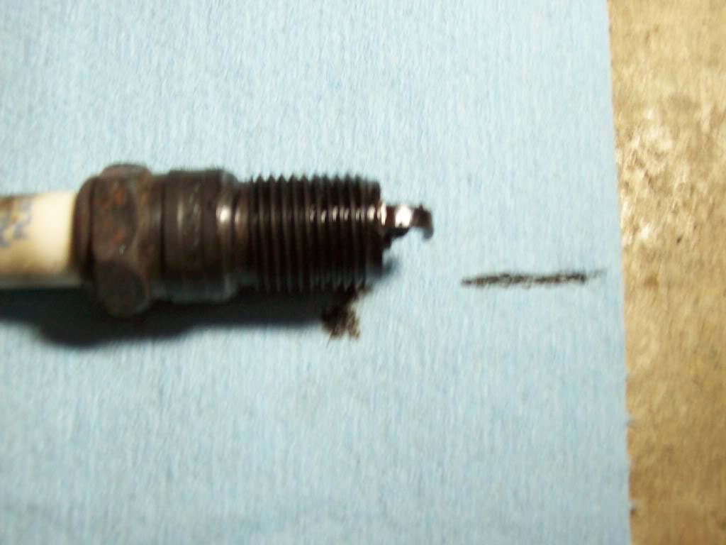 Name:  100_0325.jpg
Views: 114
Size:  69.0 KB