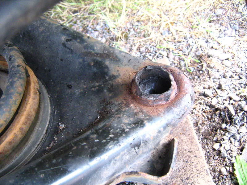 Name:  IMG_7711.jpg
Views: 220
Size:  145.5 KB
