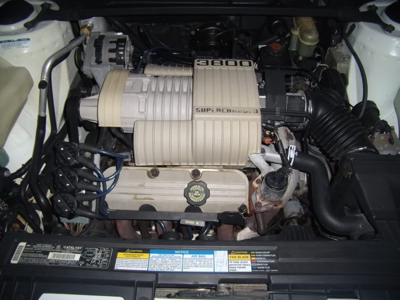 Name:  FullEngine1.jpg
Views: 59
Size:  74.6 KB