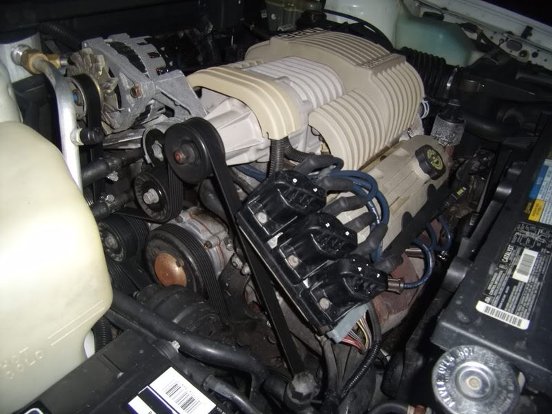Name:  SuperchargerBeltView.jpg
Views: 53
Size:  79.3 KB