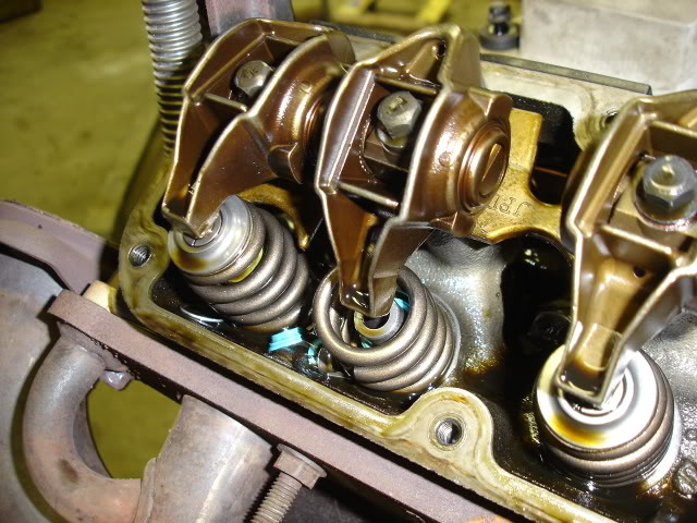 Name:  DSC06951.jpg
Views: 680
Size:  88.8 KB