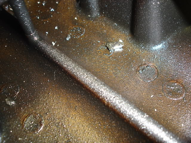 Name:  DSC06925.jpg
Views: 678
Size:  110.6 KB