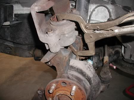 Name:  P1010078.jpg
Views: 199
Size:  37.1 KB