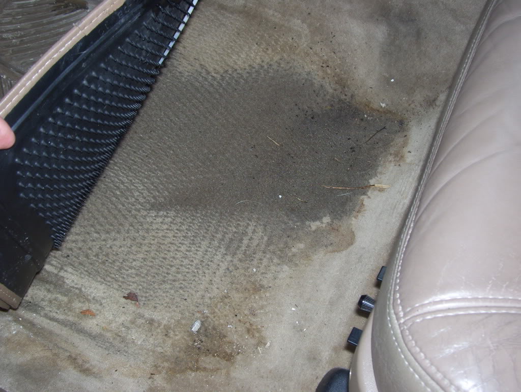 Name:  100_0306.jpg
Views: 281
Size:  153.8 KB