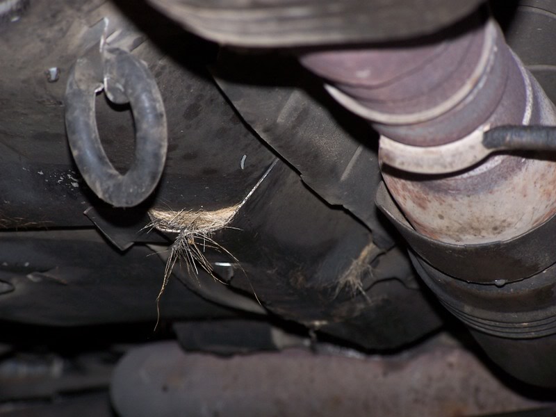 Name:  100_3980.jpg
Views: 104
Size:  74.3 KB