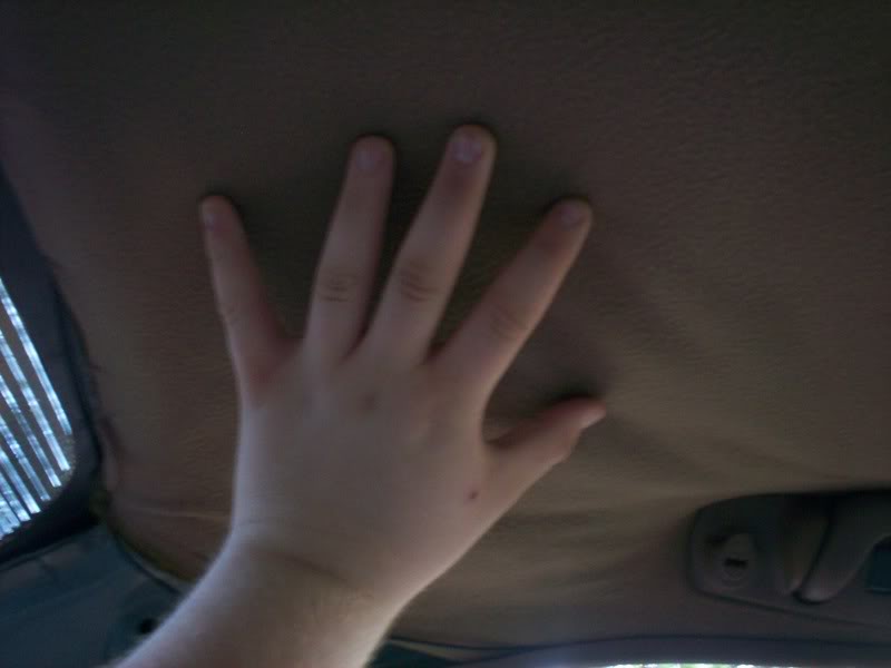 Name:  100_0761.jpg
Views: 71
Size:  31.1 KB