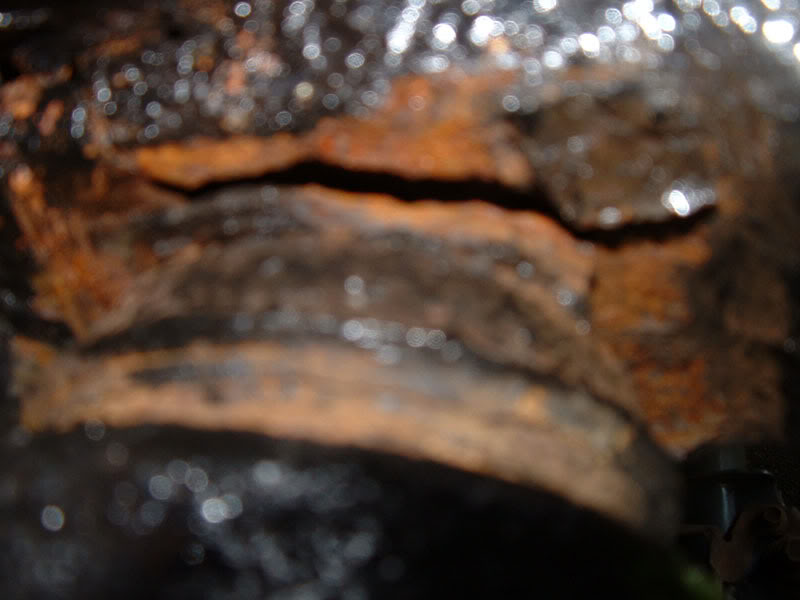 Name:  DSCF0005-4.jpg
Views: 176
Size:  52.4 KB