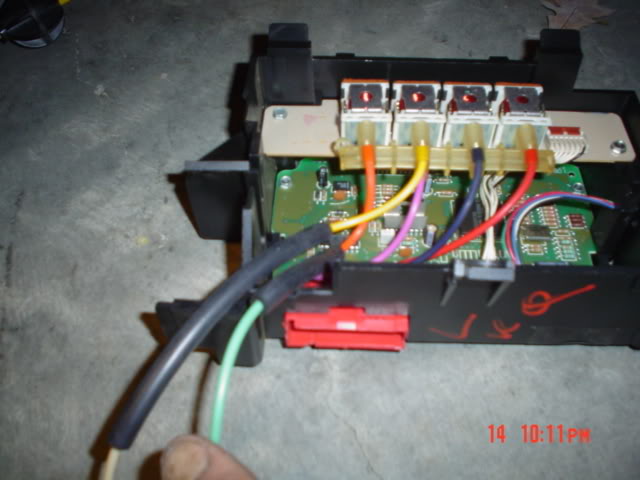 Name:  acrepeir011.jpg
Views: 290
Size:  42.5 KB