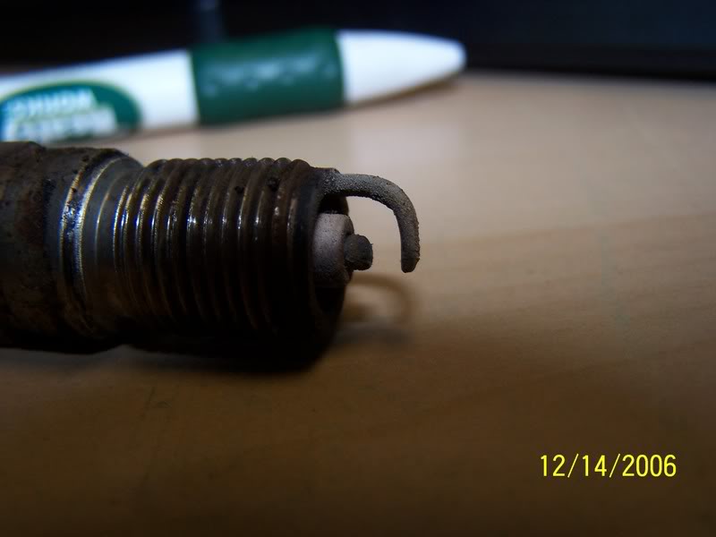 Name:  100_1787.jpg
Views: 102
Size:  33.8 KB