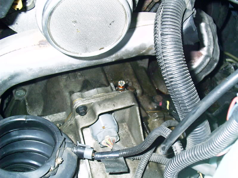 Name:  IMAG0042.jpg
Views: 45
Size:  109.4 KB