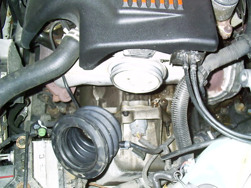 Name:  IMAG0050-1.jpg
Views: 47
Size:  105.4 KB