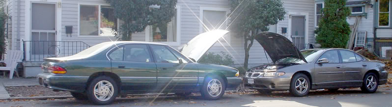 Name:  breathoflife.jpg
Views: 108
Size:  45.7 KB