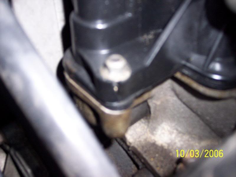 Name:  000_0164.jpg
Views: 155
Size:  37.1 KB