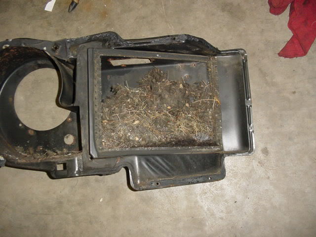 Name:  DSC01792.jpg
Views: 80
Size:  49.8 KB