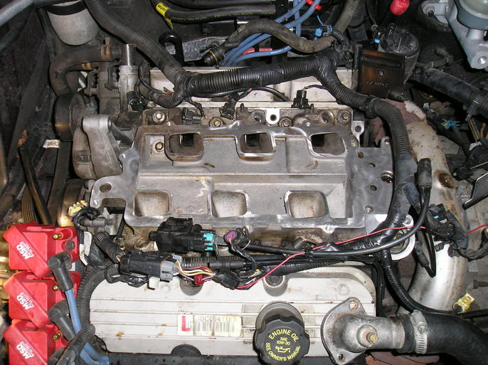 Name:  P1010061.jpg
Views: 86
Size:  80.5 KB