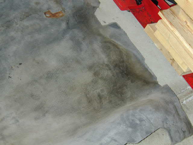 Name:  DSCN1628.jpg
Views: 149
Size:  22.6 KB