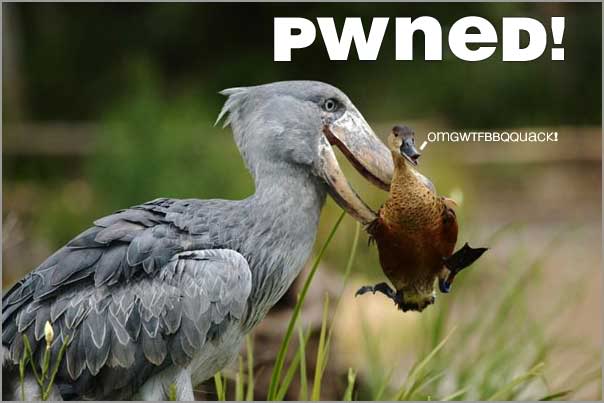 Name:  pwned.jpg
Views: 68
Size:  27.8 KB
