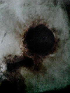 Name:  560A0118.jpg
Views: 43
Size:  8.2 KB