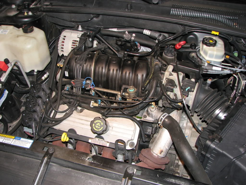 Name:  IMG_0025.jpg
Views: 80
Size:  184.8 KB