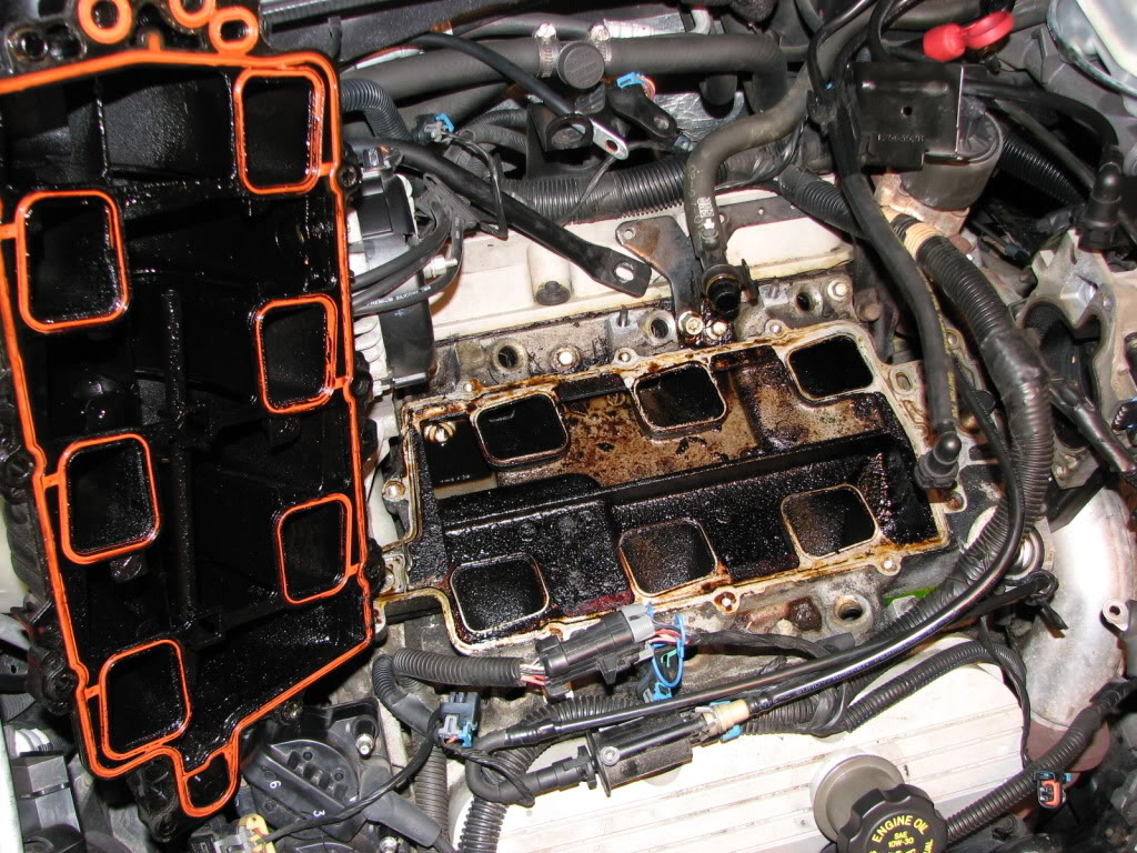 Name:  IMG_0009.jpg
Views: 76
Size:  235.1 KB