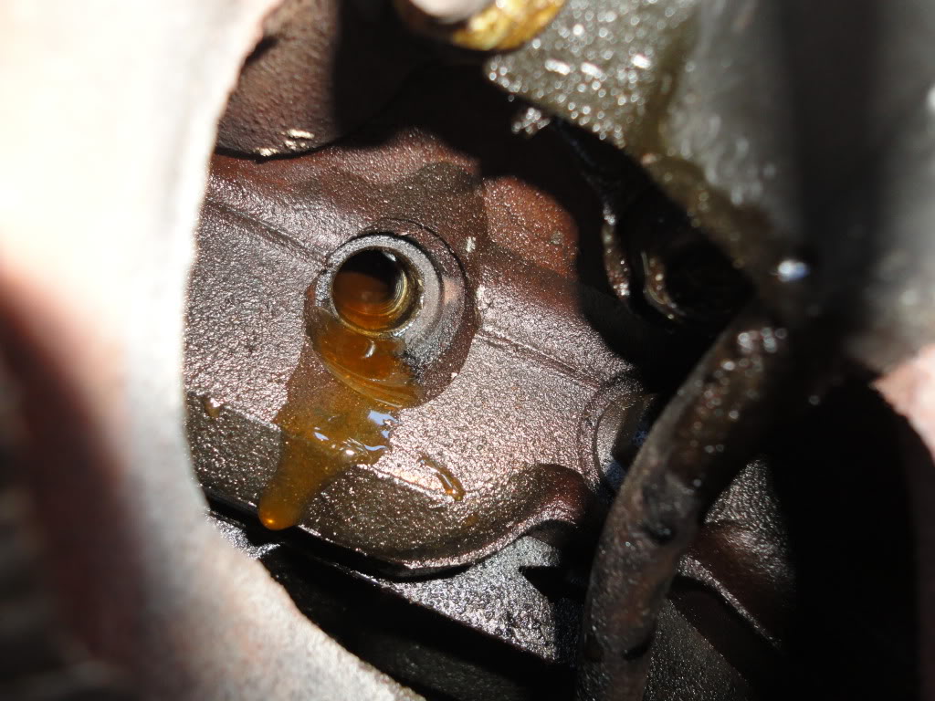 Name:  DSC03307.jpg
Views: 343
Size:  143.1 KB