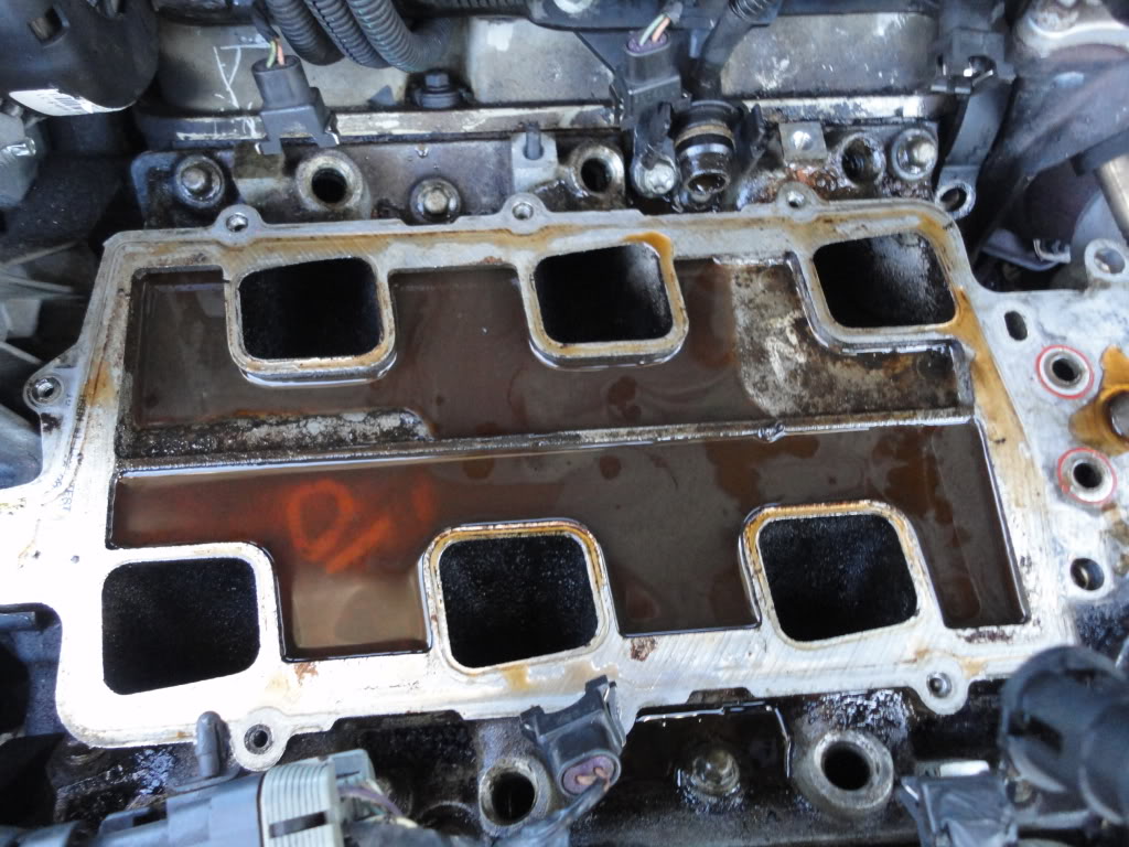 Name:  DSC03315.jpg
Views: 296
Size:  144.6 KB