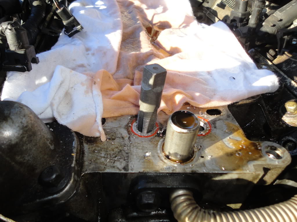 Name:  DSC03316.jpg
Views: 310
Size:  128.5 KB