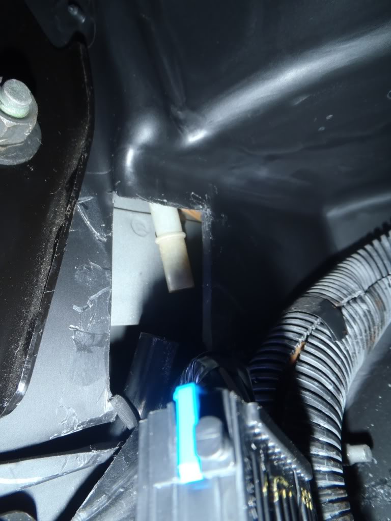 Name: P1300028.jpg
Views: 1182
Size: 95.1 KB