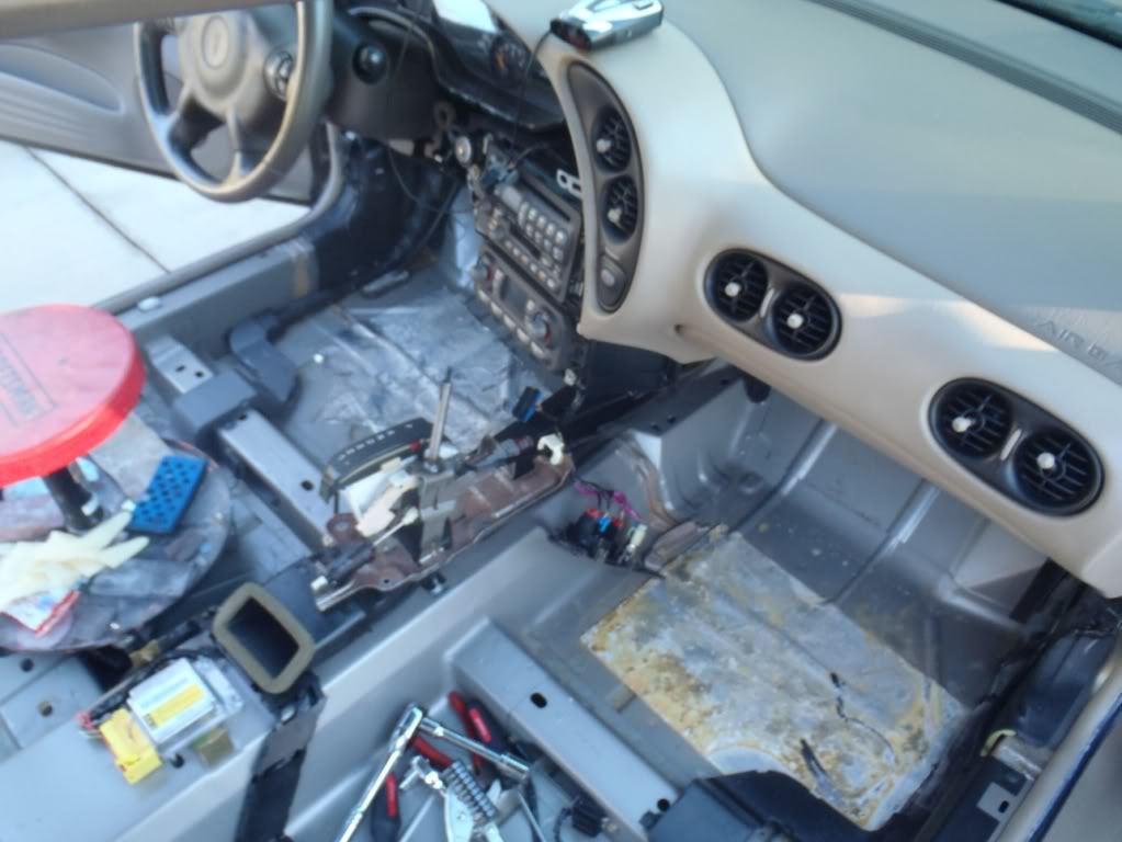 Name: P1290013.jpg
Views: 1251
Size: 81.0 KB