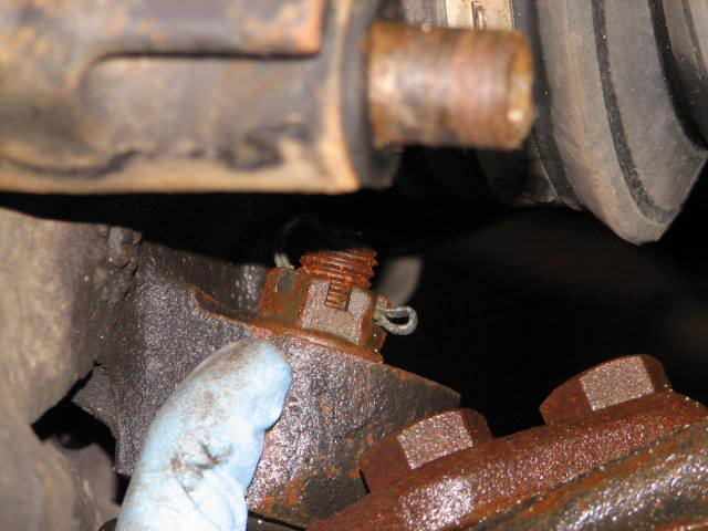 Name:  IMG_2774.jpg
Views: 1669
Size:  45.5 KB