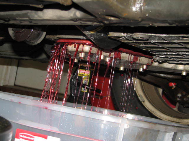 Name:  IMG_2790.jpg
Views: 1667
Size:  50.4 KB