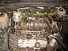 -dsc00002-copy.jpg