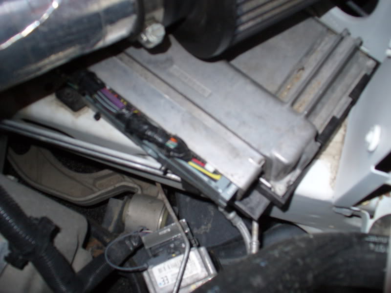 Name: P1000616.jpg
Views: 60
Size: 57.1 KB