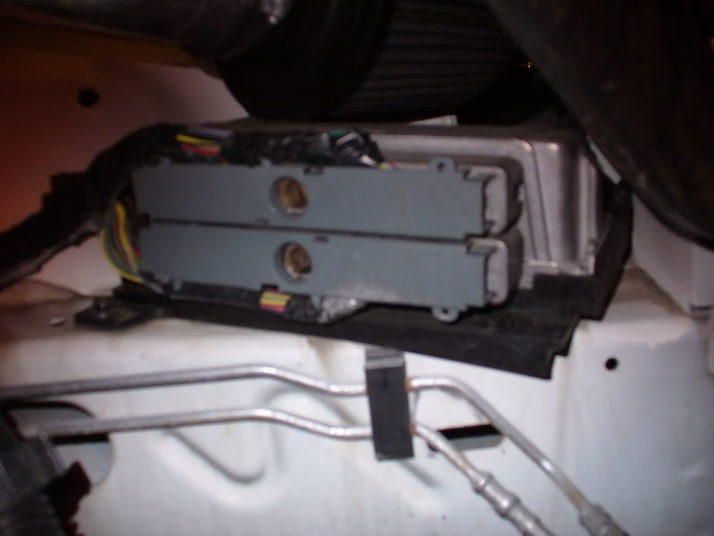 Name:  P1000614.jpg
Views: 58
Size:  41.5 KB