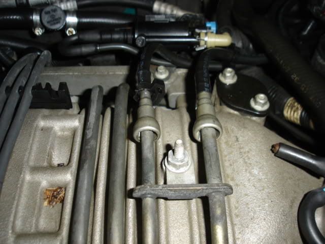 Name:  DSC09707.jpg
Views: 374
Size:  55.3 KB