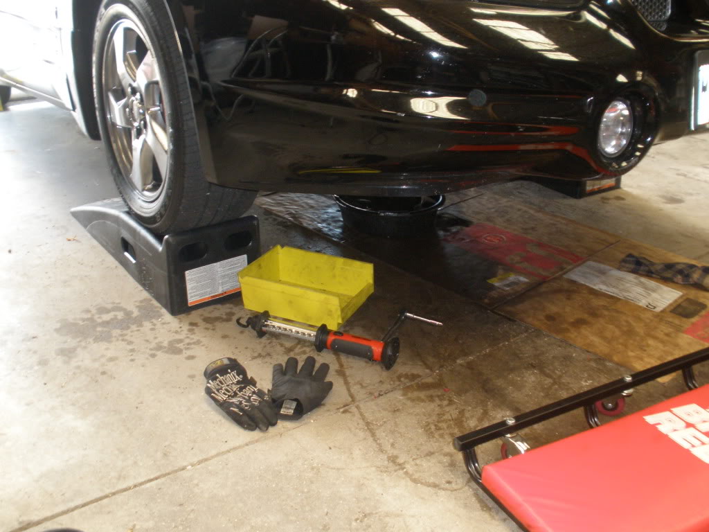 Name:  PA210006.jpg
Views: 3580
Size:  109.8 KB