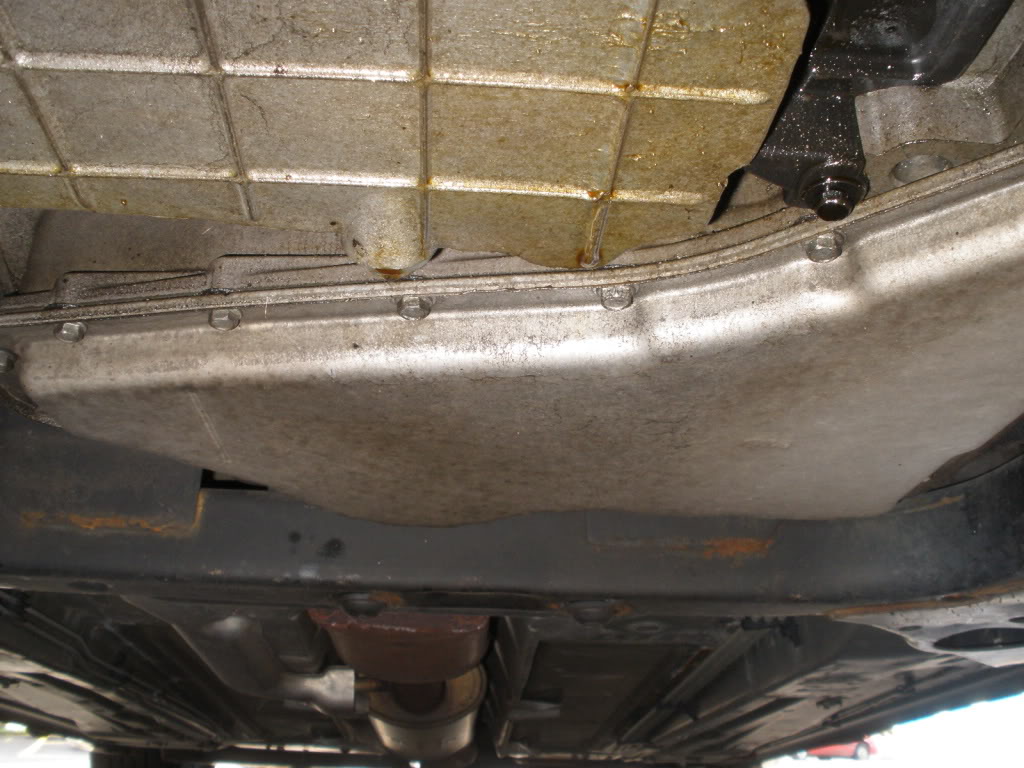 Name:  PA210001.jpg
Views: 3488
Size:  128.4 KB