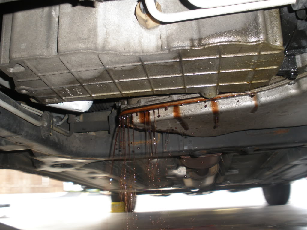 Name:  PA210002.jpg
Views: 3592
Size:  117.9 KB