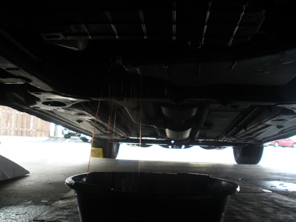 Name:  PA210004.jpg
Views: 3454
Size:  65.6 KB