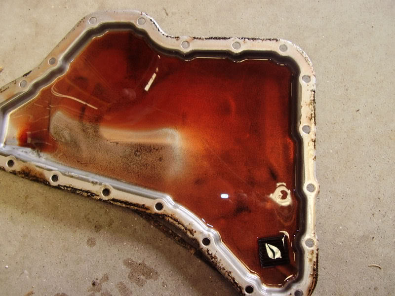 Name:  PB080002.jpg
Views: 3633
Size:  76.6 KB