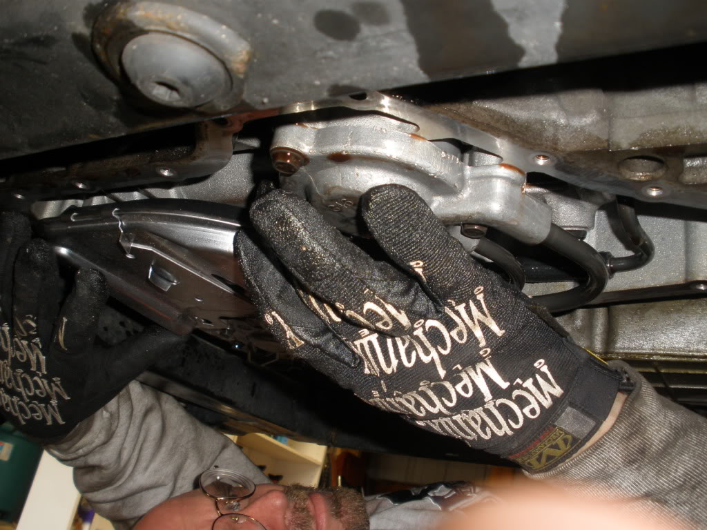 Name:  PA210019.jpg
Views: 3597
Size:  151.6 KB