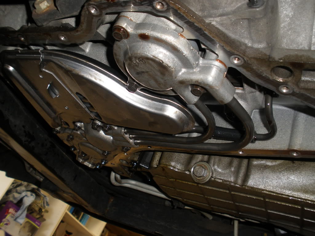 Name:  PA210020.jpg
Views: 3512
Size:  131.3 KB