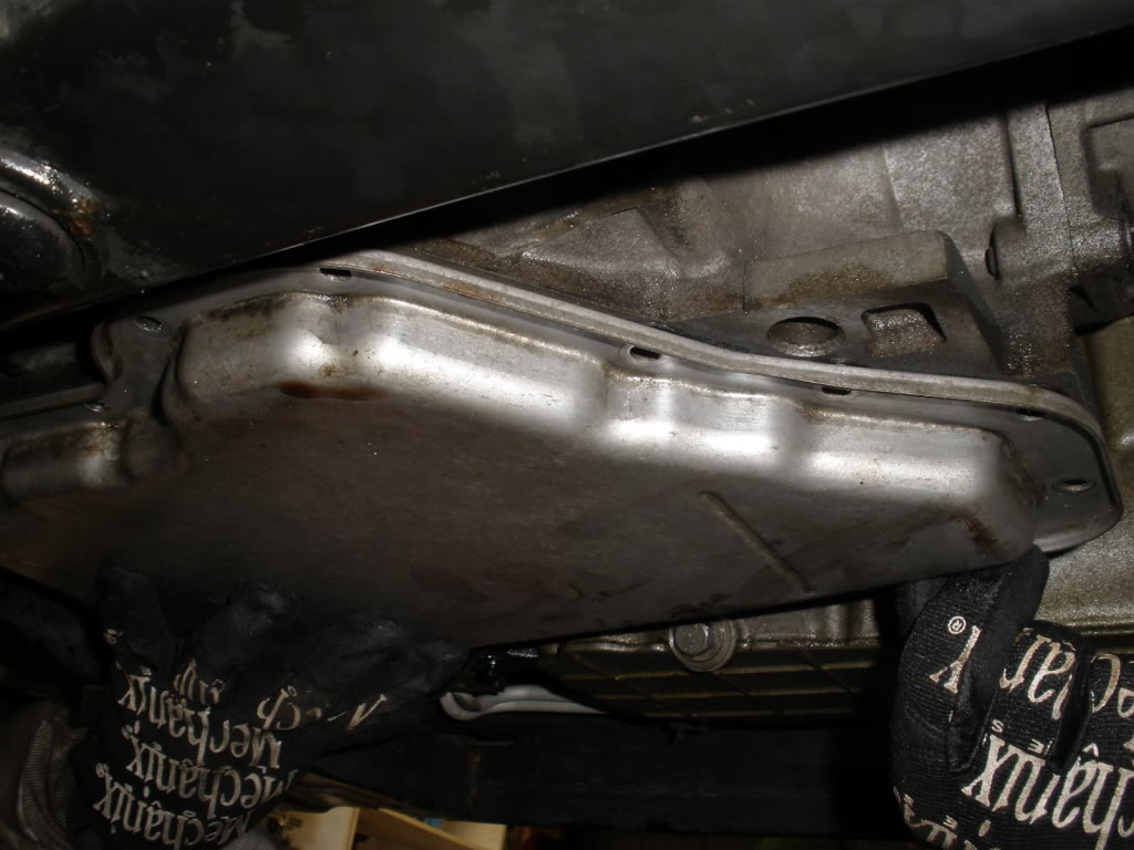 Name:  PA210021.jpg
Views: 3462
Size:  95.7 KB