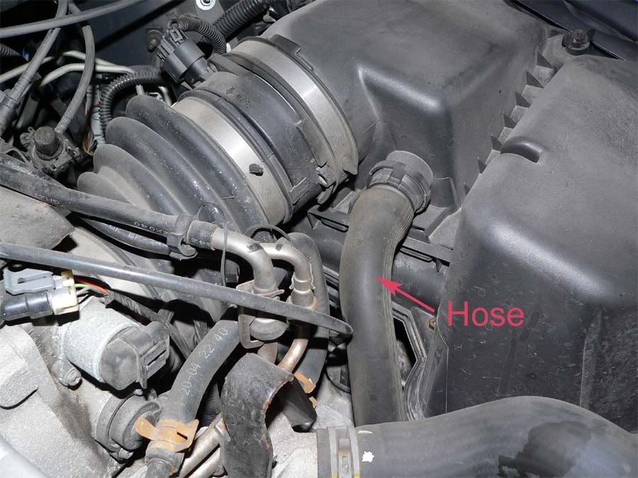 Name:  Hose.jpg
Views: 496
Size:  107.4 KB