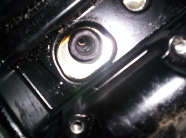 Name: 100_0758Small.jpg
Views: 372
Size: 30.3 KB