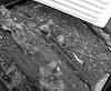 Park Ave Cabin Filter-airfiltercomaparison_zps2b6cadc5.jpg