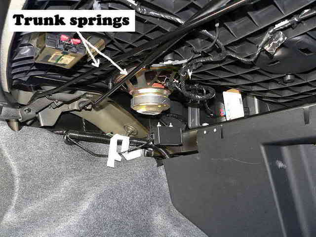 Name:  trunk1.jpg
Views: 4505
Size:  32.6 KB